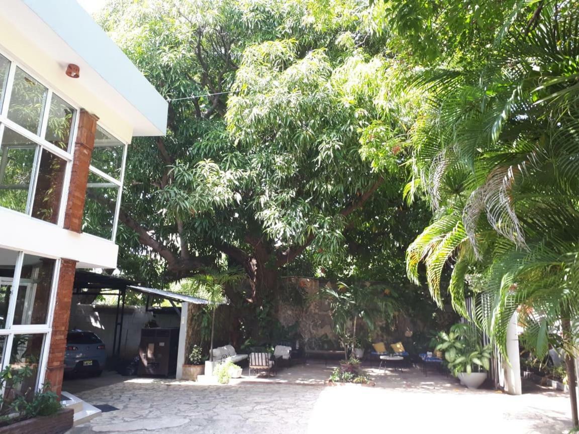 Hotel Alcaldeza - Garden House Maria Guadalupe Santo Domingo Esterno foto