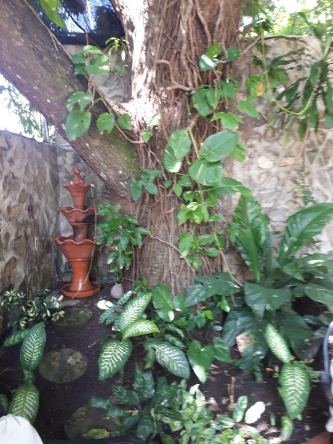 Hotel Alcaldeza - Garden House Maria Guadalupe Santo Domingo Esterno foto
